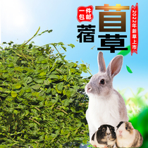 Clover Grass 2022 New Grass Rabbit Dragon Cat Pasture Rabbit Grain Guinea Pig Feed Dry Grass Gross 1000 grams