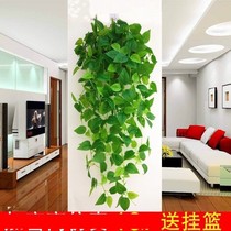 Bedroom wall hanging decoration simulation green plant hanging rattan leaf plastic indoor hanging basket Wall Flower