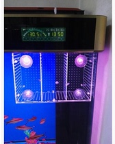  Isolation box fish tank aquarium small fry incubation breeding box transparent acrylic single and double multi-grid hot sale