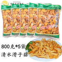 Edible mushrooms Wild mountain mushrooms Clear water slippery mushrooms pickled mushrooms 800g*5 bags of fresh slippery mushrooms