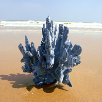 Natural blue coral fish tank Aquarium landscaping Decorative window Home decoration Coral tree Reef bonsai shell conch