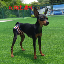 New pet striped physiological pants dog menstrual pants anti-harassment aunt pants Teddy is more expensive than bear fawn dog cotton