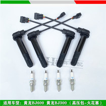 Suitable for Benari Huanglong BJ300 BN302 Huanglong 600 TNT600 high pressure pack spark plug ignition coil