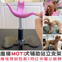 Rui pet magic ladder MOTI dog auxiliary standing bracket beautician fixed dog with net Red pet care small bench