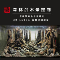 Grass tank landscaping package landscaping green dragon stone sunken wood back garden aquarium rainforest landscape customization