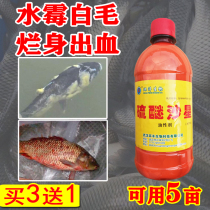 Water mold treatment of fish medicine universal disease treatment of white hair rotten tail disease aquaculture thiofloxacin