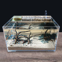 Desktop ecological fish tank Acrylic turtle tank Small water turtle tank Living room water and land landscape tank with filter free water change