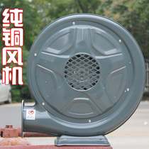 Inflatable Arch Door Blower Gas Mold Blower Iron Shell Wind Color Iridescent Gate Machine Grip Money Machine Kitchen Pure Copper Waterproof Blowers