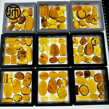 071831 淡 赤字処分❗️天然琥珀九眼天珠、貫通穴
