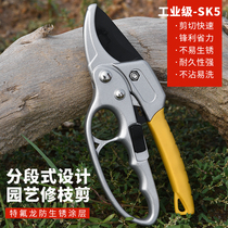 Labor-saving Fruit tree pruning shears knife segmented professional gardening pruning branches garden flower trimming shears