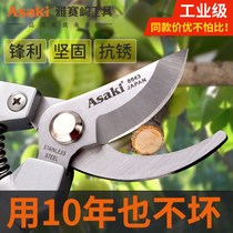 Tough scissors fruit branches garden art scissors pruning trees large flowers fruit trees branches scissors cutting tools