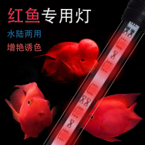 Fish tank light led diving lighting Aquarium color brightening waterproof red Arowana Koi arhat special lamp
