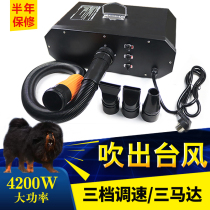 Three-motor pet blower high-power mute large dog Tibetan mastiff blower dog bath blower wind