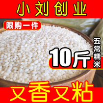 Xiao Liu Entrepreneurship New Rice Northeast Round Glutinous Rice 10 Jin Farmhouse Coarse Grain Quality Fragrant White River Rice Glutinous Rice Zongzi Non-5 Jin