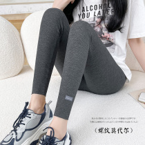 Underpants woman outside wearing spring and summer season new thread Modale 90% pants with slim height waist elastic large size tight fit pants