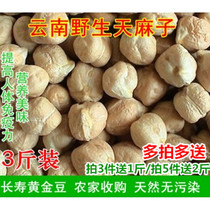 Tianmazi Yunnan wild small Tianmazi 1500g longevity beans Tianma seeds for dizziness