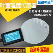 Leaf surface moisture sensor 485 high-precision moisture transmitter leaves surface moisture measurement recording detector