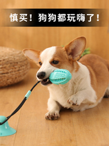 Pet dog tug-of-war toys resistant to bite teeth leakage rubber ball suction cup elastic ball interactive dog artifact