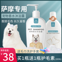 Samoye shower gel dog white hair special sterilization deodorant fragrance bath liquid pet shampoo bath liquid supplies