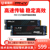 U.S. PNY 2TB CS3040 M 2 PCIE 4 0 2280 Desktop SSD Solid State Drive Magnesium Light 1T