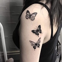 (A copy of 2)Butterfly tattoo stickers sexy waterproof female long-lasting arm arm net red simulation ins wind girl