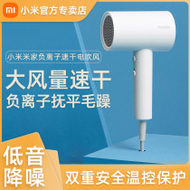 Millet hair dryer negative ion hair care home high power anti-static wind dryer for dormitory