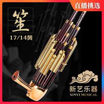 Xinyi 17 Reed 14 Reed sound instrument Daquan Sheng instrument round Sheng square sheng repair tool instrument instrument Sheng bag beginner