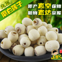 Honghu native white lotus seeds fresh skin and core white lotus seeds dry goods natural sulfur-free 500g