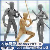 Bandai SHF prime doll painting auxiliary model joint movable human body hand-made animation art sketch reference