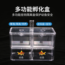 Guppies adhesive hook breeding box aquarium isolation incubator box tropical fish small fish medium fish medium isolation box hatching spawning room