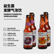 Kombucha PAPPS Kombucha Probiotic-Free Fermented Low-Sugar Sparkling Water 6 Bottles