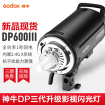 Shen Niu DP600III three generation studio light photography flash 600w photo shooting indoor studio photography light