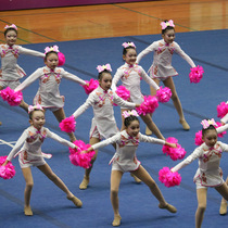 Custom La La gymnastics competition clothing cheerleading competition clothing competitive aerobics clothing new 22 adult suit