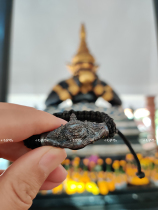 Thai characteristic hand rope pulling Tiger Temple Black Moon pulling tiger hand rope small donkey Ah z