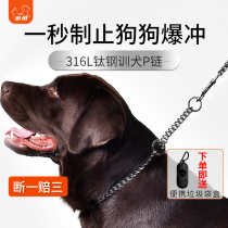 Dog Chain Sub large Dog Item Circle Traction Rope Explosion-proof Stainless Steel P Word Chain Gold Mulladorp Rope Dog Rope