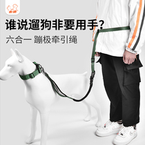 Dog traction rope medium large canine traction with kirky dog chain sub gold wool running for dog rope outdoor walking dog rope