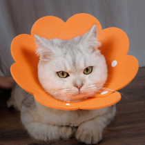 Kitty Elizabeth Circle Item Circle Neck Collar Cat Ilisha White Pet Headgear Anti Bite for Licking Shame Ring Supplies