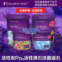 Poland AF introduction stone live bacteria filter culture stone activated carbon activated carbon zeolite phosphate adsorption