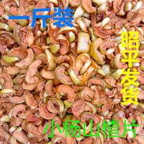 Guangxi specialty fresh green skin big meat hawthorn fruit Hawthorn hawthorn slices