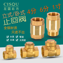 4 points all copper vertical check valve spring check valve 6 minutes 1 inch inner and outer wire horizontal check valve copper rod check valve