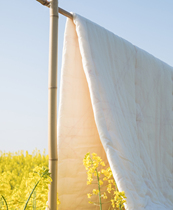 Suzhou Non-relic certified high-quality custom handmade cotton quilts by the new Xinjiang cotton spring autumn and winter by light and thin students