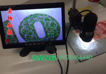 AV electronic digital microscope AV interface display 400 times PLA standard electronic digital microscope