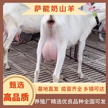山羊奶 加拿大CANUS Li'l Goat's新鮮山羊奶初乳嬰兒滋養保濕乳液-800ml
