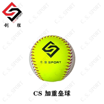 (CS) aggravated softball practice ball 10oz baseball and softball training coach boutique recommended aggravated