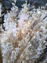 Bleached octagonal flower wedding floral photo props space beautiful window holding flower art