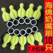 10 high quality nipple brush sponge wash pacifier brush wide caliber bottle nipple brush cleaning