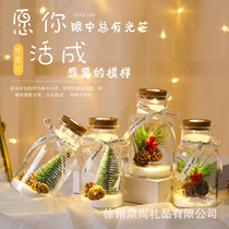 520 gifts for boyfriend and girlfriend star glass bottle origami wish Christmas pine cone simulation mini micro-landscape decoration