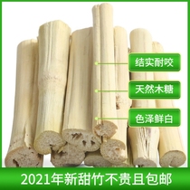 21-year rabbit ChinChin guinea pig high fiber molar bite wood sweet bamboo rabbit grinding Rod 500g instead of apple branch