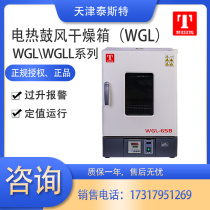 Test WGL-45B electric constant temperature blast drying oven industrial oven high temperature oven laboratory oven