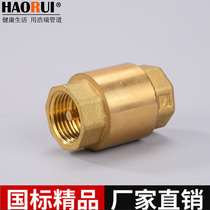 Thickened 4 minutes 6 minutes 1 inch copper wire check valve Water Pipe Spring check valve vertical water meter check valve